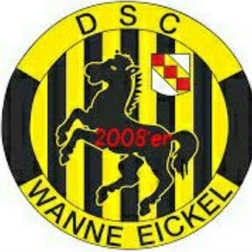 DSC 2008'er icon