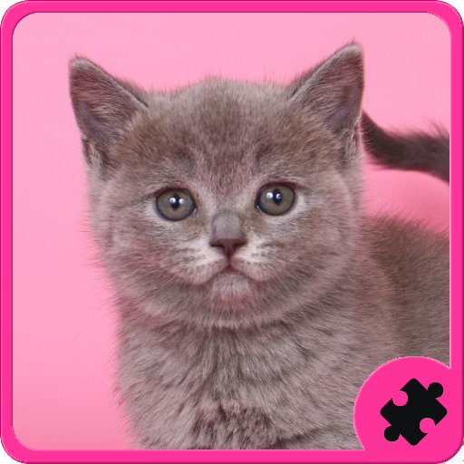 Cats Puzzle icon