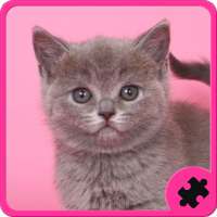 Cats Puzzle