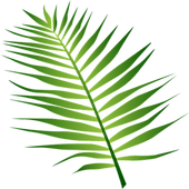 Balochi Keyboard 2.0 icon