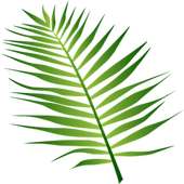 Balochi Keyboard 2.0