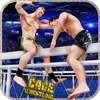 Cage Wrestling Superstars: Fight Revolution Mania