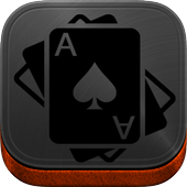 Master Card Slot icon