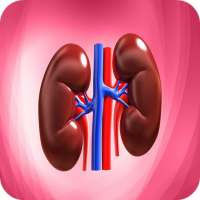 Nephrology Basics on 9Apps