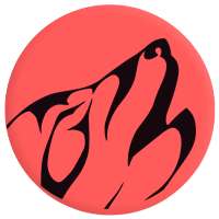 King Wolf Emui 9.0 Theme on 9Apps