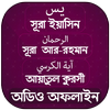 সূরা ইয়াসিন -আর রহমান- আয়াতুল কুরসি (অডিও অফলাইন) आइकन