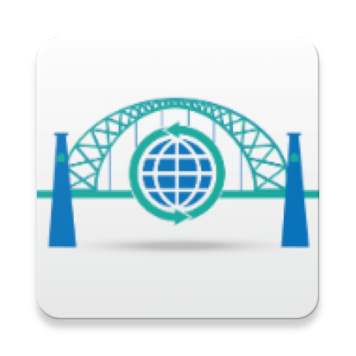 NetBridge VPN icon