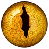 SnakeEYE Camera Whitetail'R icon