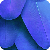 HD ZTE Wallpaper иконка