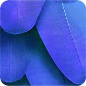 HD ZTE Wallpaper on 9Apps