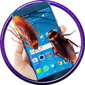 Real Cockroach Simulator on Screen icon