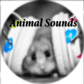 Animal Sounds - Hayvan Sesleri icon