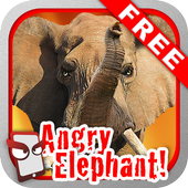 Angry Elephant Free! icon