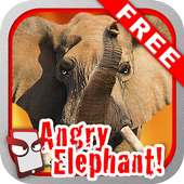 Angry Elephant Free!