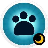 CatTron - Un gato de verdad