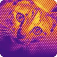 HalftonePix - Halftone Photo F