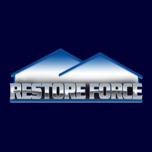 Restore Force icon