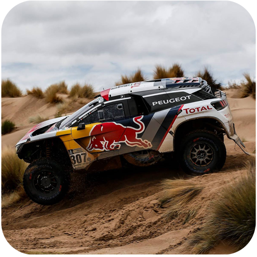 Stunning Rally Fury Wallpaper icon