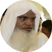 Sheikh Aly Al Huthaify icon