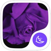 Purple Flower theme for APUS on 9Apps