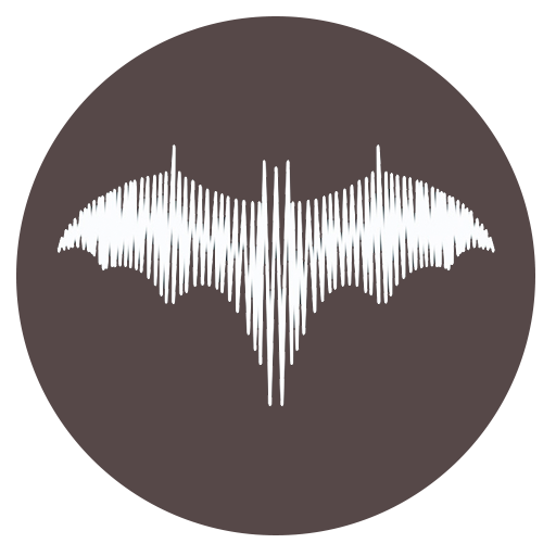 BatPlayer: free audio player with lyrics icon