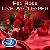 Red rose live wallpaper on 9Apps