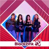 BlackPink Song's & Ringtones on 9Apps