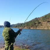 Прогноз клёва рыбы иконка