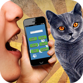 Cat Translator 3D sound أيقونة