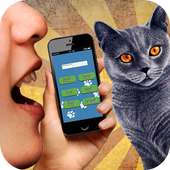 Cat Translator 3D sound