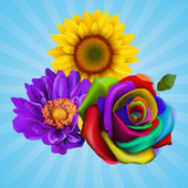 Blossom Crush icon