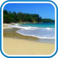 Beach Video Wallpaper Free