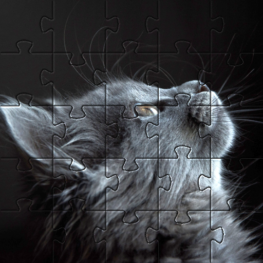 Cats Jigsaw Puzzles 🧩🐱🧩🐈🧩 icon