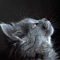 Cats Jigsaw Puzzles 🧩🐱🧩🐈🧩