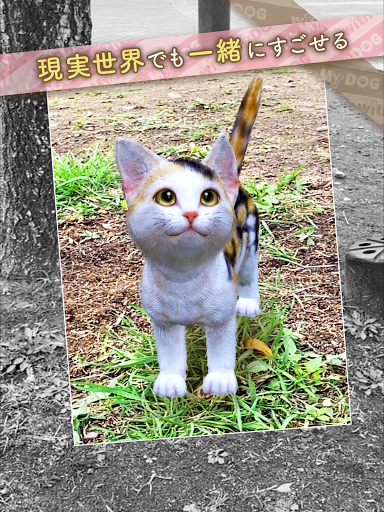 with My CAT - 猫とくらそう - screenshot 16