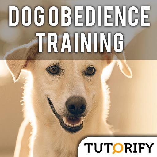 Dog Obedience Training icon