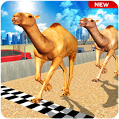 Camel Desert Race Simulator - Animals Racing 3D icon