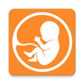 Pregnancy Tracker App for pregnant moms 💝 on 9Apps