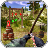 Real Archer Bottle Shooting icon