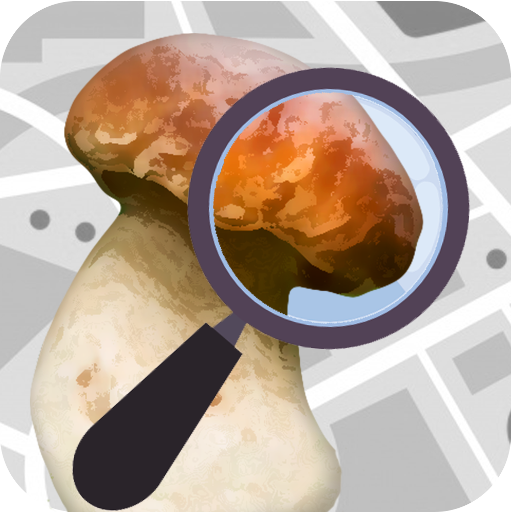 Mushroom Identify - Automatic  icon