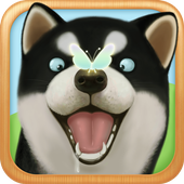 Dog  Sweetie Run أيقونة