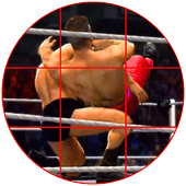 Wrestling Flash Punch: Trivia icon