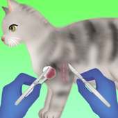 cat surgery games
