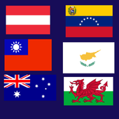 Guess the flags icon
