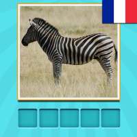 Animaux Quiz - deviner et apprendre