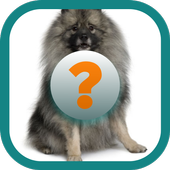 Dog Breeds Quiz icon
