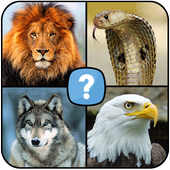 Animals quiz: Mammals, Reptiles, Birds, Fishes icon
