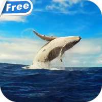 Whale HD Video Live Wallpaper