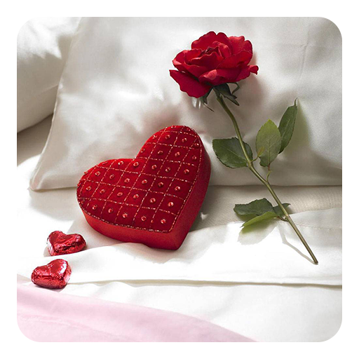 Love Live Wallpaper icon