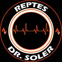 Els Reptes del Dr. Soler